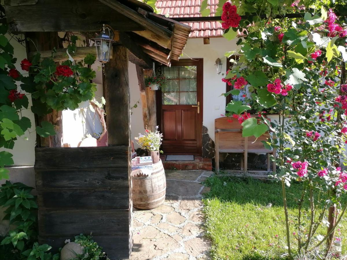 Casa Traditionala Transilvaneana Rucar  Exterior foto